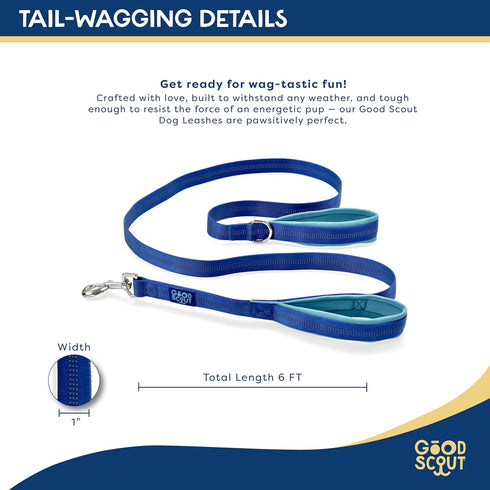 Good Scout Padded Handle Dog Leash - Durable Walking & Training Leash for Puppies & Adult Dogs, Blue/Sky