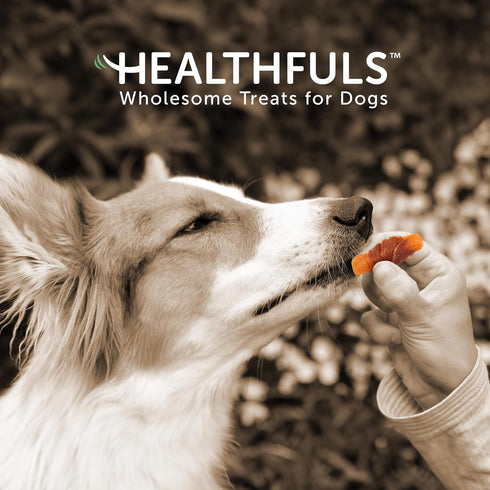Chicken Wrapped Sweet Potato Dog Treats, 16oz