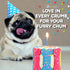 Dog Birthday Cake - Rice Cake Based Dessert with Human Grade Ingredients - Happy Birthday Dog Cake