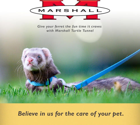 Marshall Pet Products Ferret Turtle Tunnel Toy, Green, Fun Turtle-Shaped Design for Small Pets