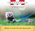 Marshall Pet Products Ferret Turtle Tunnel Toy, Green, Fun Turtle-Shaped Design for Small Pets