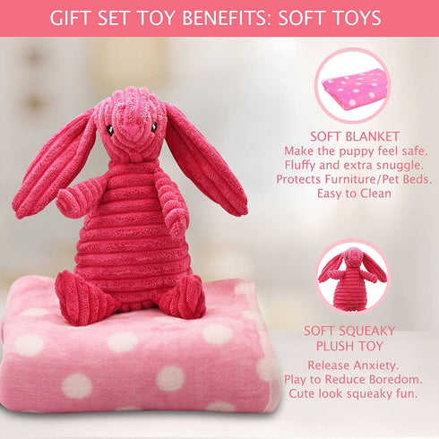Pink Dog Gift Box - Puppy Care Package with 5 Chew Toys, Dog Blanket, Squeaky Plush, Rubber Teether, and Treat Ball
