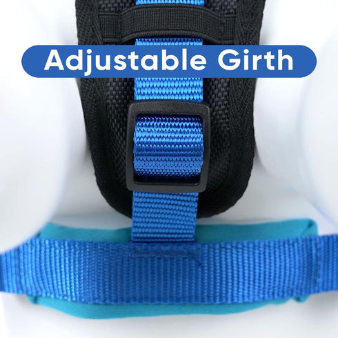 Pawtitas Padded Dog Harness, Reflective Dog Vest for Comfort Control, XS Extra Small Blue Dog Harness