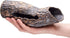 Plecoceramics Large Pleco Cave, Breeding Ceramic Decorations for Fish Tank Aquarium (1 pcs Scape Log)