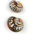 Heyiwell 2PC African Sarmaticus Turbo Shells,Hermit Crab Shell &Turbo Shells Hermit Crab Supplies