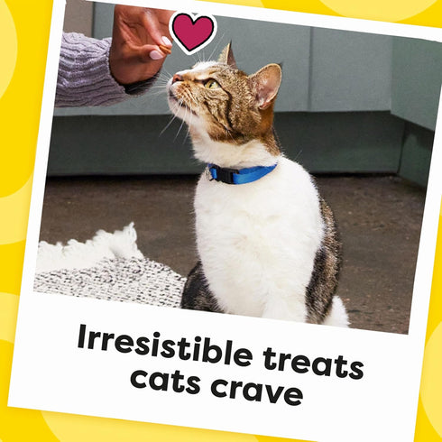 16 oz. Temptations Cat Treats, Classic Crunchy and Soft Cat Treats, Creamy Dairy Flavor, Tub