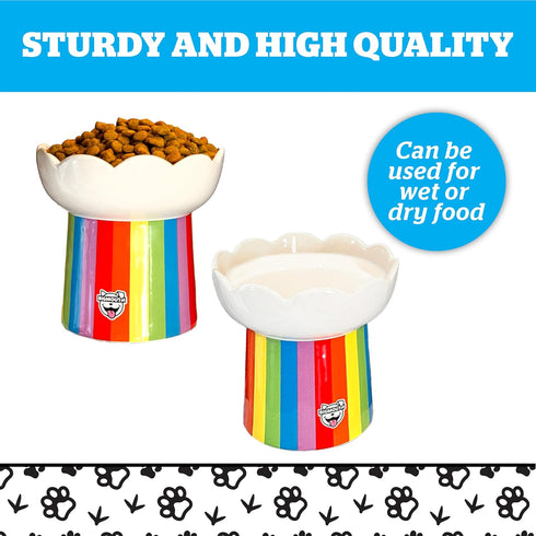 BigMouth Inc Rainbow Elevated Cat Bowl - Raised Ceramic Feeder for Small Dogs and Cats