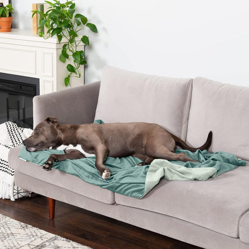 Furhaven Waterproof Throw Blanket for Dogs & Indoor Cats - Washable Luxe Velvet Blanket - Celadon Green, Large