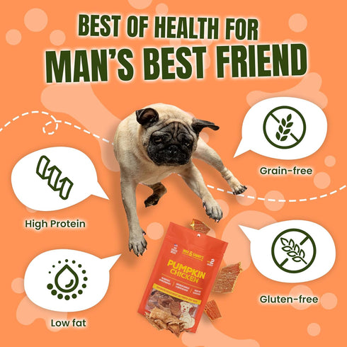 12 oz) Gourmet Jerky Dog Treats -Made in USA only, Cage-Free, No Additives (Pumpkin Chicken