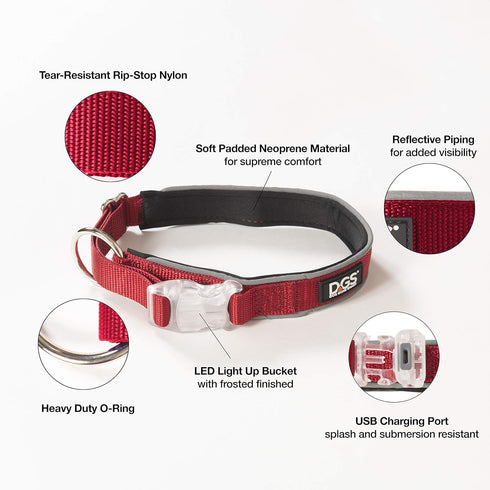 Dog Gone Smart Super Bright LED Safety Comet Collar for Dogs, Adjustable Breathable Strong Nylon, Medium, Large, Small
