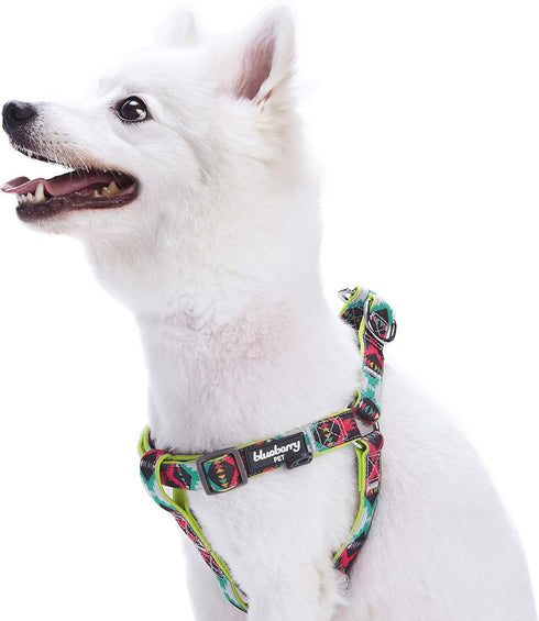 Blueberry Pet Step-in Southwestern Vintage Tribal Print Padded Dog Harness, XS/S, Chest Girth 15.5" - 19.5",