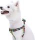 Blueberry Pet Step-in Southwestern Vintage Tribal Print Padded Dog Harness, XS/S, Chest Girth 15.5" - 19.5",