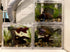 Set of 4 Small Natural Driftwood 4-6'' for Aquarium Styling, Reptile Tank Decor (Pack of 4)