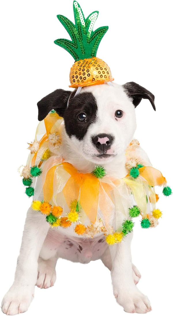 Pet Krewe Pineapple Hat and Collar, Fits Small, Medium, Large, Extra Large Dogs - Perfect for Halloween, Parties, Gifts