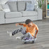hand2mind Purple Speedway Racer Scooter Board, Floor Scooter Board, Gross Motor Toys, Kids Exercise & Physical
