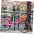 Rattan Woven Bike Basket Sturdy and Pet Carrier for Cats and Dogs Wicker and Iron Material Easy to Install Front