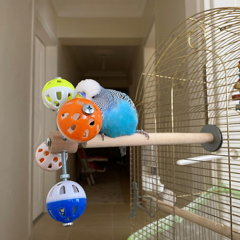PERSONALIZED Perch Toy with Rotating Balls for Birds, Budgies, Budgerigars, Parakeets, Parrots, Cockatiels, Parrotlets