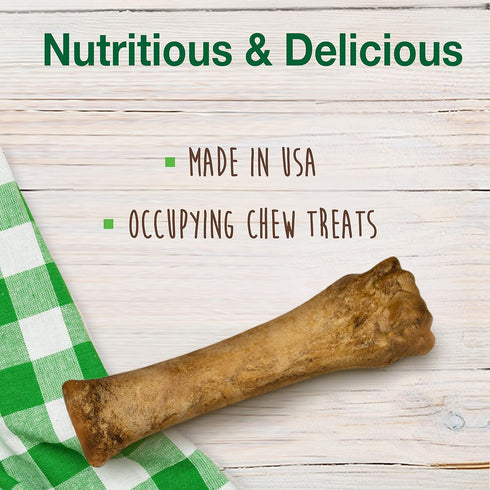 Nylabone Healthy Edibles Puppy Chews, Long Lasting Lamb & Apple Flavor, X-Large/Souper (1 Count)