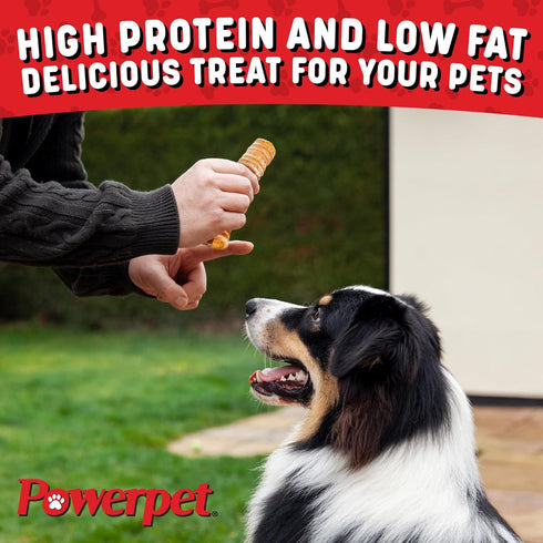 Beef Trachea Dog Chew - 100% All Natural, Low Fat, Protein-Rich Treat, 6 Inches