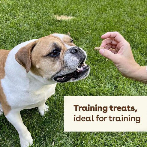 Pupford Freeze Dried Training Treats for Dogs & Puppies, 225+ Bites (Salmon, 2 oz)