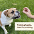 Pupford Freeze Dried Training Treats for Dogs & Puppies, 225+ Bites (Salmon, 2 oz)