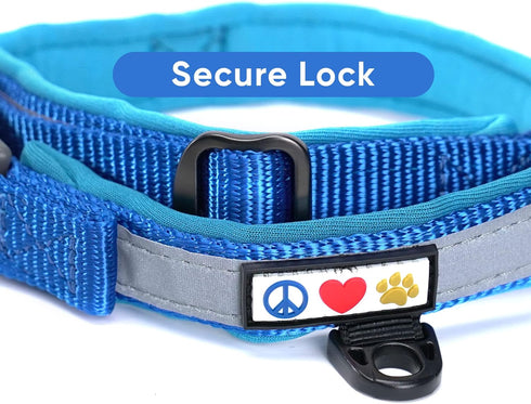 Pawtitas Lumberjack Padded Martingale Collar for Dogs, XS Blue, Soft Neoprene, Reflective Band for Visibility