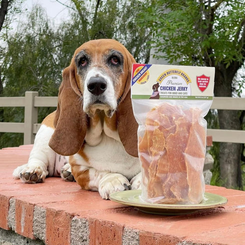 Chicken Jerky - Dog Treats Made in USA, 1 Ingredient USDA Grade A Chicken Breast, 8 Ounces