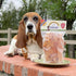 Chicken Jerky - Dog Treats Made in USA, 1 Ingredient USDA Grade A Chicken Breast, 8 Ounces