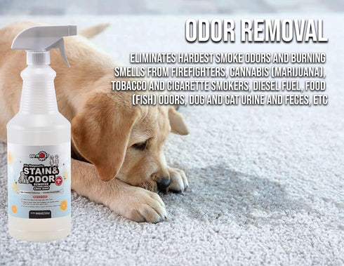 Bio-Enzymatic Stain & Odor Remover, Professional-Grade & Biodegradable, 32 Oz for Pet Urine, Wine, Ink, Fabric Cleaning
