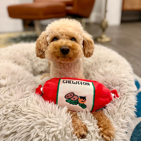 CHEWFFON Interactive Snuffle Sausage Dog Toy, Crinkle Puzzle Enrichment Toy with Treat Pockets, Nose Work Toy