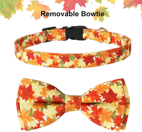 ADOGGYGO Fall Dog Collar with Bow - Adjustable Thanksgiving Collars with Removable Bowtie for Small Medium Large Dogs