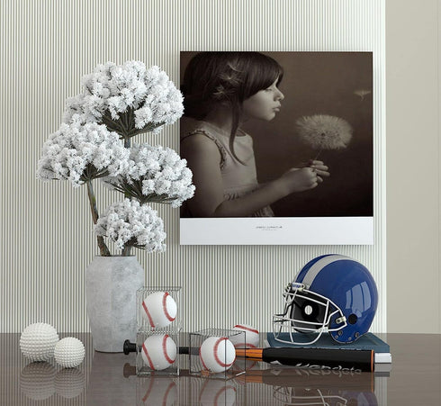 Danodoi Baseball Display Case UV Protected Acrylic Clear Baseball Holder Square Cube Ball Protector Memorabilia