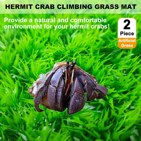 2 PCS Hermit Crab Climbing Toys Faux Grass Mat 10 x 10 Inch Fake Turf Hermit Crab Climbing Wall Fish Tank Artificial Plant Decorations Hermit Crab Supplies Small Animals Cage Accessories by Anranmm