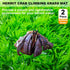 2 PCS Hermit Crab Climbing Toys Faux Grass Mat 10 x 10 Inch Fake Turf Hermit Crab Climbing Wall Fish Tank Artificial Plant Decorations Hermit Crab Supplies Small Animals Cage Accessories by Anranmm
