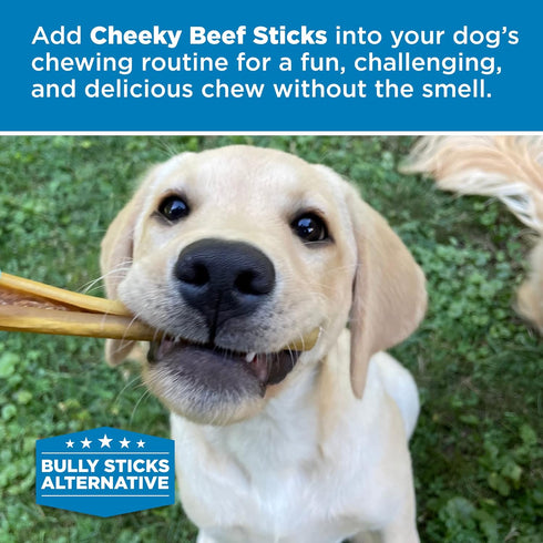6 Inch 5 Count (Pack 1) 100% Packed, Best Bully Sticks Cheeky Beef Treats - of - Single Ingredient, Grass-Fed, USA