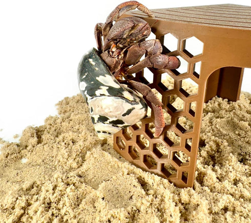 Lucky Critter Hermit Crab Climbing Toy Corner Stand | Hermit Crab Cave Tank Decor Hide Platform | Hermit Crab Hideout