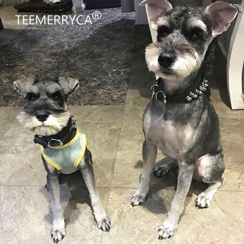TEEMERRYCA Adjustable Microfiber Leather Spiked Studded Dog Collar with Squeak Ball Gift for Small Medium Large Pets,