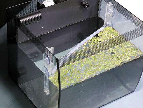 Aquarium Floating Plant Corral, Automatically Adjusts as Water Level Rises and Falls