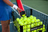 GAMMA 48 75 Pack Sports Pressureless Tennis Balls Box - Ideal for Practice, Teaching, and Training with High-Visbility