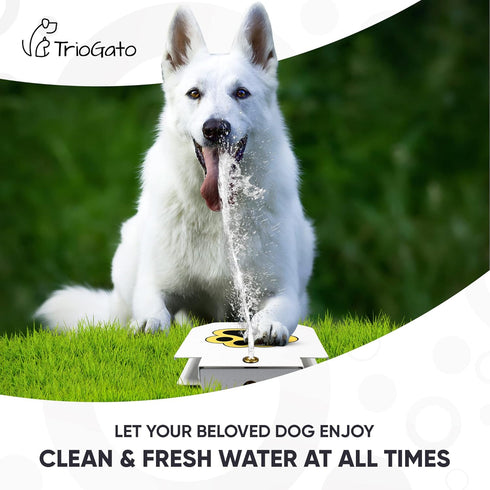 Dog Outdoor Fountain Step On | Paw Activated Drinking Pet Dispenser for Fresh Water