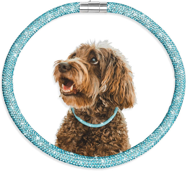 Stylish Luxurious Diamond Dog Collar, Magnetically Absorbent Clasp, Full Diamond Design, Blue Diamonds Necklace Collar