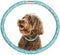 Stylish Luxurious Diamond Dog Collar, Magnetically Absorbent Clasp, Full Diamond Design, Blue Diamonds Necklace Collar