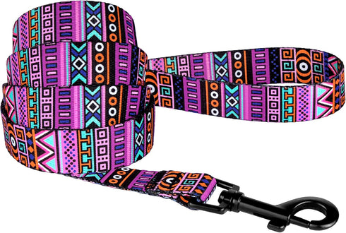 CollarDirect Aztec Dog Leash - Nylon Tribal Pattern Pet Leash for Small Medium Large Dogs, 5 FT Long