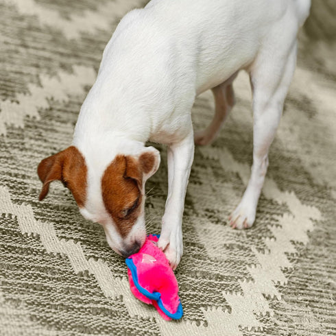 6.8" Outward Hound Durablez Minis Squeaky Plush Dog Toy, No Stuffing for Less Mess, Interactive & Tough, Jumbo