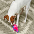 6.8" Outward Hound Durablez Minis Squeaky Plush Dog Toy, No Stuffing for Less Mess, Interactive & Tough, Jumbo