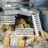 Hamiledyi Hermit Crab Platform with Ladder Climbing Toys Hermit Crab Climbing Wall Shelf Habitat Reptile Tank Decor