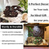 PINVNBY Large Natural Driftwood for Aquarium Decor, 6 PCS Assorted Sinkable Reptile Wood Branches