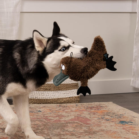 Large Brown Platypus Dog Toy - Silent Squeak Plush with Chew Guard Technology