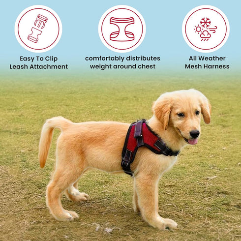 No Pull Reflective Adjustable Dog Harness with Handle, Comfortable Soft Mesh, Easy On for Small Medium Large Dogs (Red)