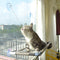 Cat Bed Window, Cat Window Hammock Perch, Safety Cat Shelves for Large Cats, Space Saving Mounted Cat Seat (Beige)